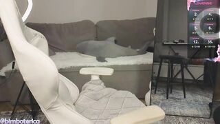 KnightessRose - Porn Video [Bongacams]: captured broadcast, spontaneous beauty stream, lovely amateur