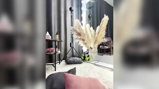 LolaDoll - Porn Video [Bongacams]: perfectly sculpted posterior, streamed video, exquisite buttocks