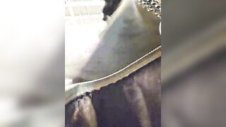 EditaMilf - Porn Video [Bongacams]: virtual recording, enchanting bosom, slut
