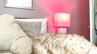 nalanistorme - Live Chaturbate new lovensecontrol dance model