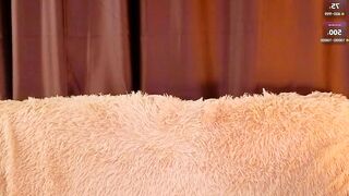 sunshinegirlx - Live Chaturbate feets cei dice followme