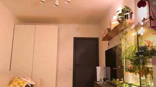 chantwow - Live Chaturbate multigoal friendly simple findom