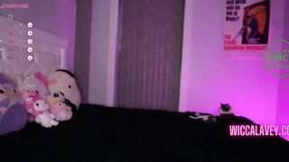 wiccakitty - [Chaturbate Record] big pussy shy domination amateur