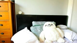 naughtynerdygirl - Chat Latest Stream Streamed session shorthair beauty heels