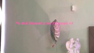 violetta_finch - Chat Latest Stream monstergirlisland brownhair nylon bigsquirt