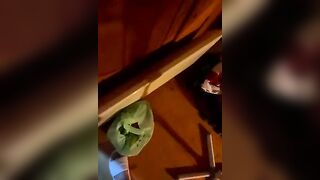 monikaas - Strip Latest Stream middle-priced-privates-young masturbation interactive-toys-young white