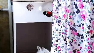 Anabelldestiny - Strip Latest Stream masturbation striptease-grannies cam2cam big-tits-grannies